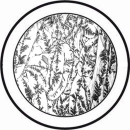 Runder Eisblumenbevel 5